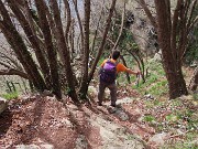In Canto Alto (1146 m) da Ripa-Zogno ad anello fiorito il 10 aprile 2025 - FOTOGALLERY